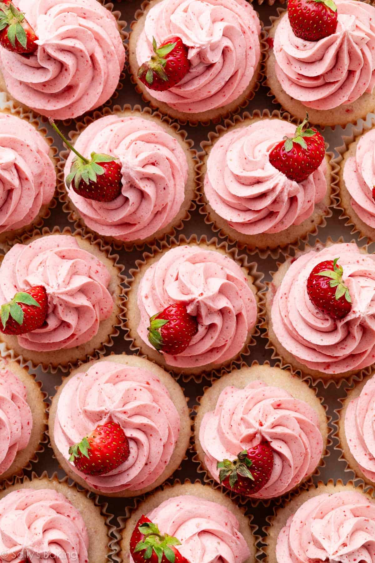 Fresh vs. Freeze-Dried: The Secret to Perfect Strawberry Buttercream